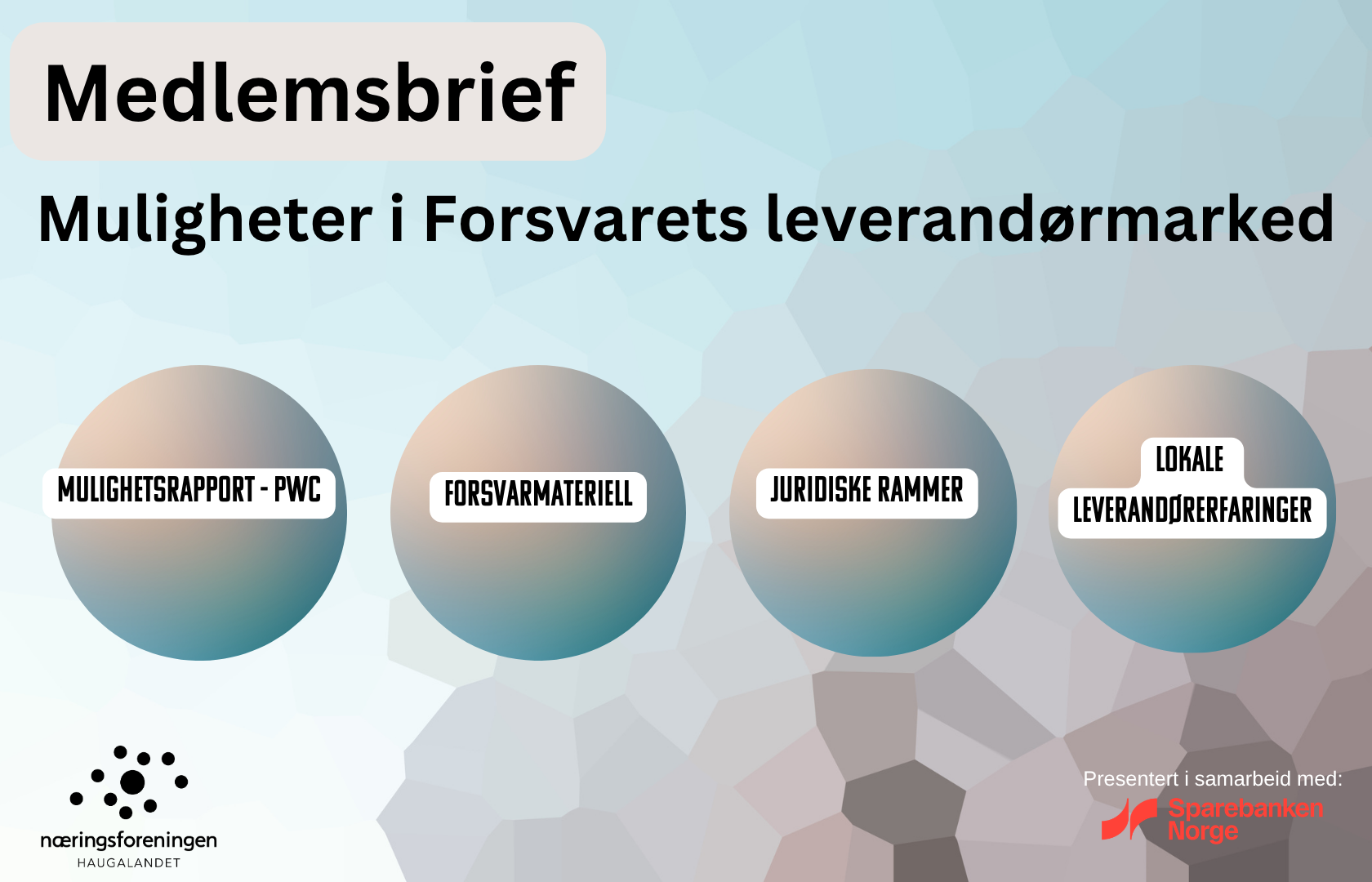 Medlemsbrief; 5. mai: Muligheter i Forsvarets leverandørmarked 